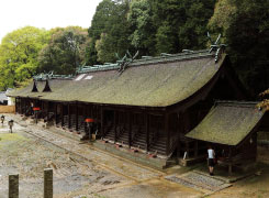 熊野神社の境内。本殿６棟の屋根は桧皮葺。凛とした境内を歩くだけで穏やかな気持ちに。