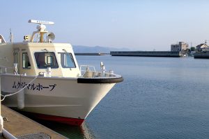 六口丸海運の「ムクジマルホープ」